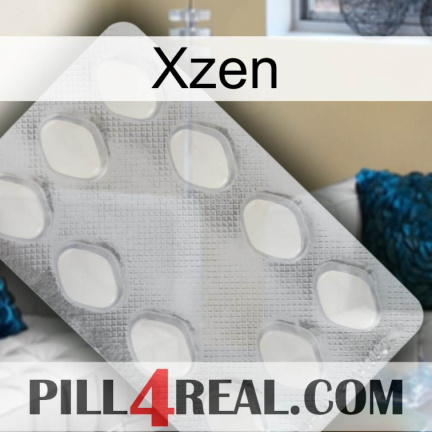 Xzen 16
